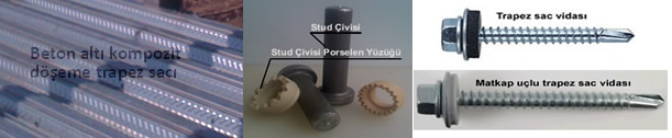 stud �ivisi 