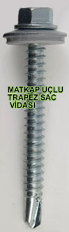 Trapez Vidası Pullu